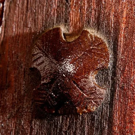 Casa Pepa Rural Santa Colomba de Somoza