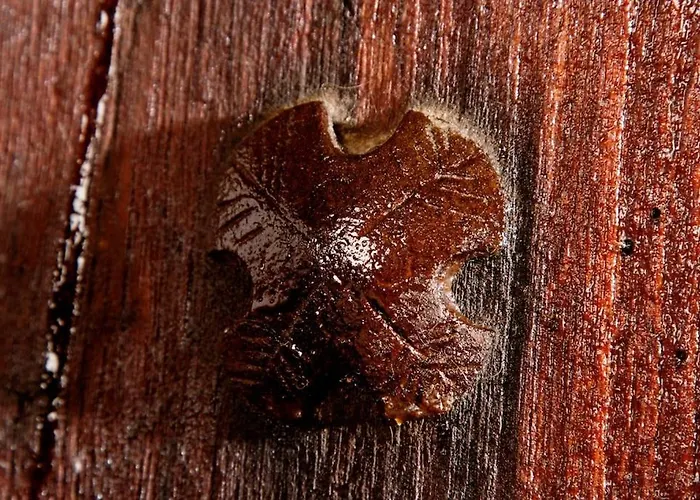 Casa Pepa Rural Santa Colomba de Somoza